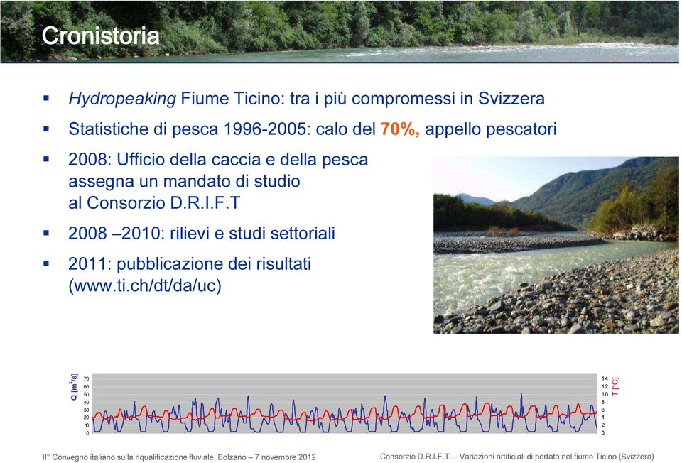 assegna un mandato di studio al Consorzio D.R.I.F.