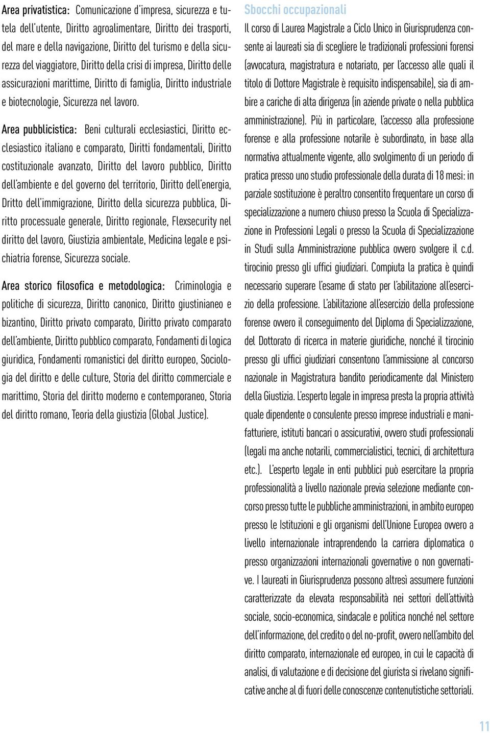 Area pubblicistica: Beni culturali ecclesiastici, Diritto ecclesiastico italiano e comparato, Diritti fondamentali, Diritto costituzionale avanzato, Diritto del lavoro pubblico, Diritto dell ambiente