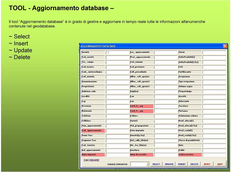 reale tutte le informazioni alfanumeriche contenute