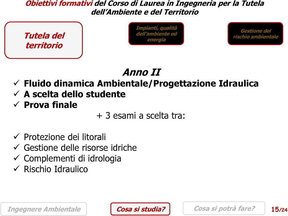 Ambientale/Progettazione Idraulica A scelta dello studente Prova finale + 3 esami a scelta tra: Protezione dei