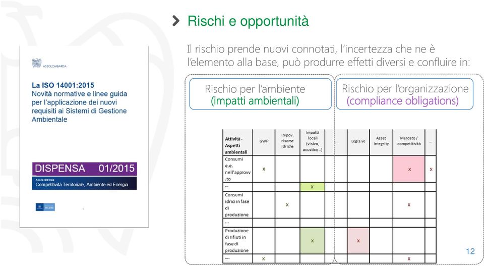 effetti diversi e confluire in: Rischio per l ambiente