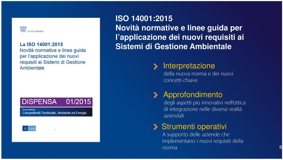 Approfondimento degli aspetti più innovativi nell ottica di integrazione nelle diverse realtà