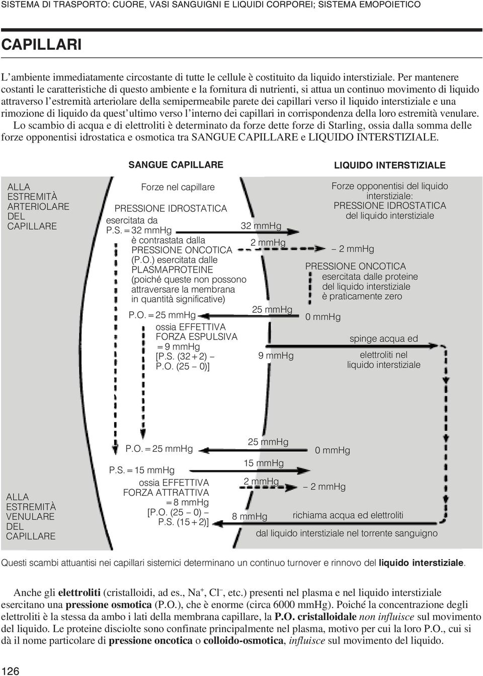 capillari verso il liquido interstiziale e una rimozione di liquido da quest ultimo verso l interno dei capillari in corrispondenza della loro estremità venulare.