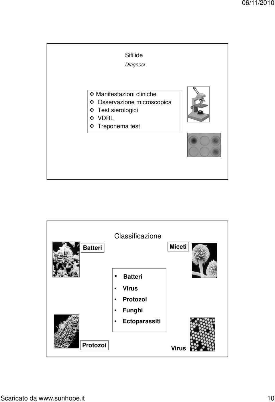 Batteri Classificazione Miceti Batteri Virus Protozoi