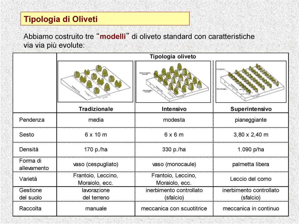 090 p/ha Forma di allevamento Varietà Gestione del suolo vaso (cespugliato) vaso (monocaule) palmetta libera Frantoio, Leccino, Moraiolo, ecc.