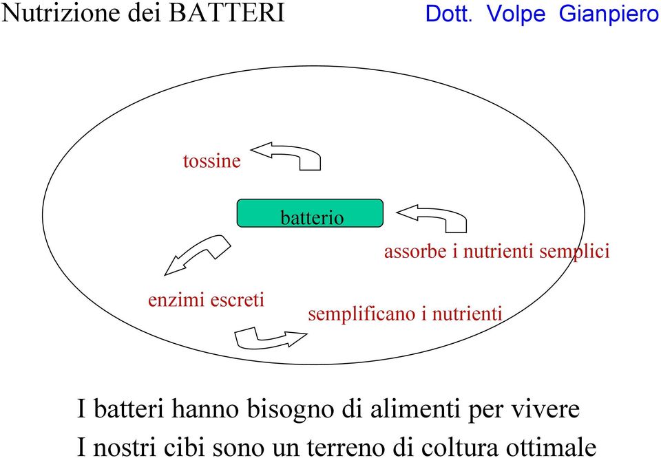 nutrienti I batteri hanno bisogno di alimenti per