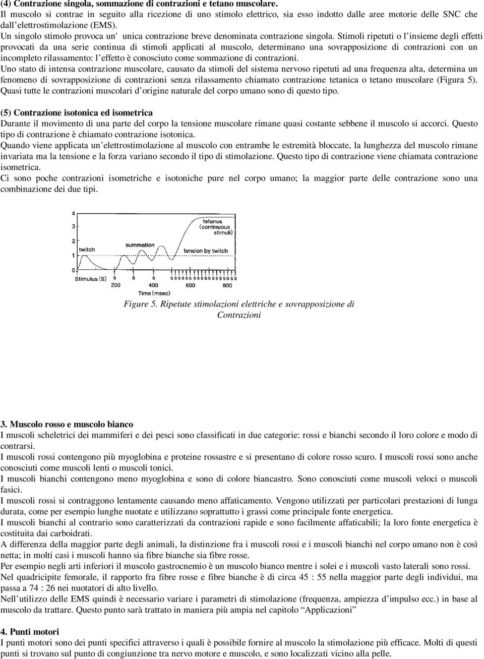 Un singolo stimolo provoca un' unica contrazione breve denominata contrazione singola.