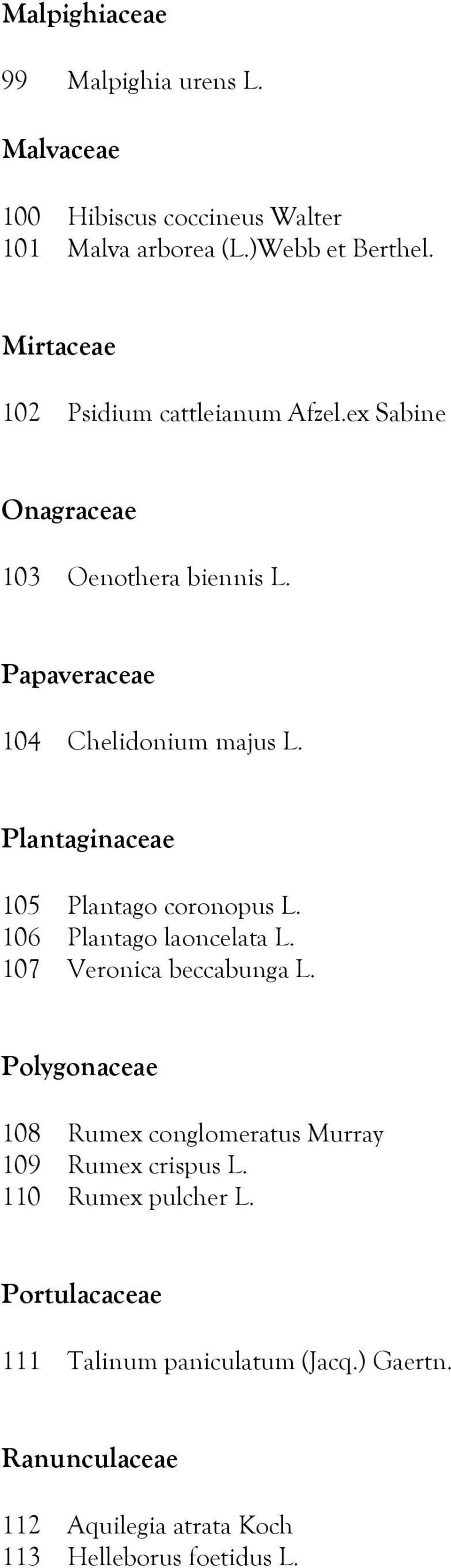 Plantaginaceae 105 Plantago coronopus L. 106 Plantago laoncelata L. 107 Veronica beccabunga L.