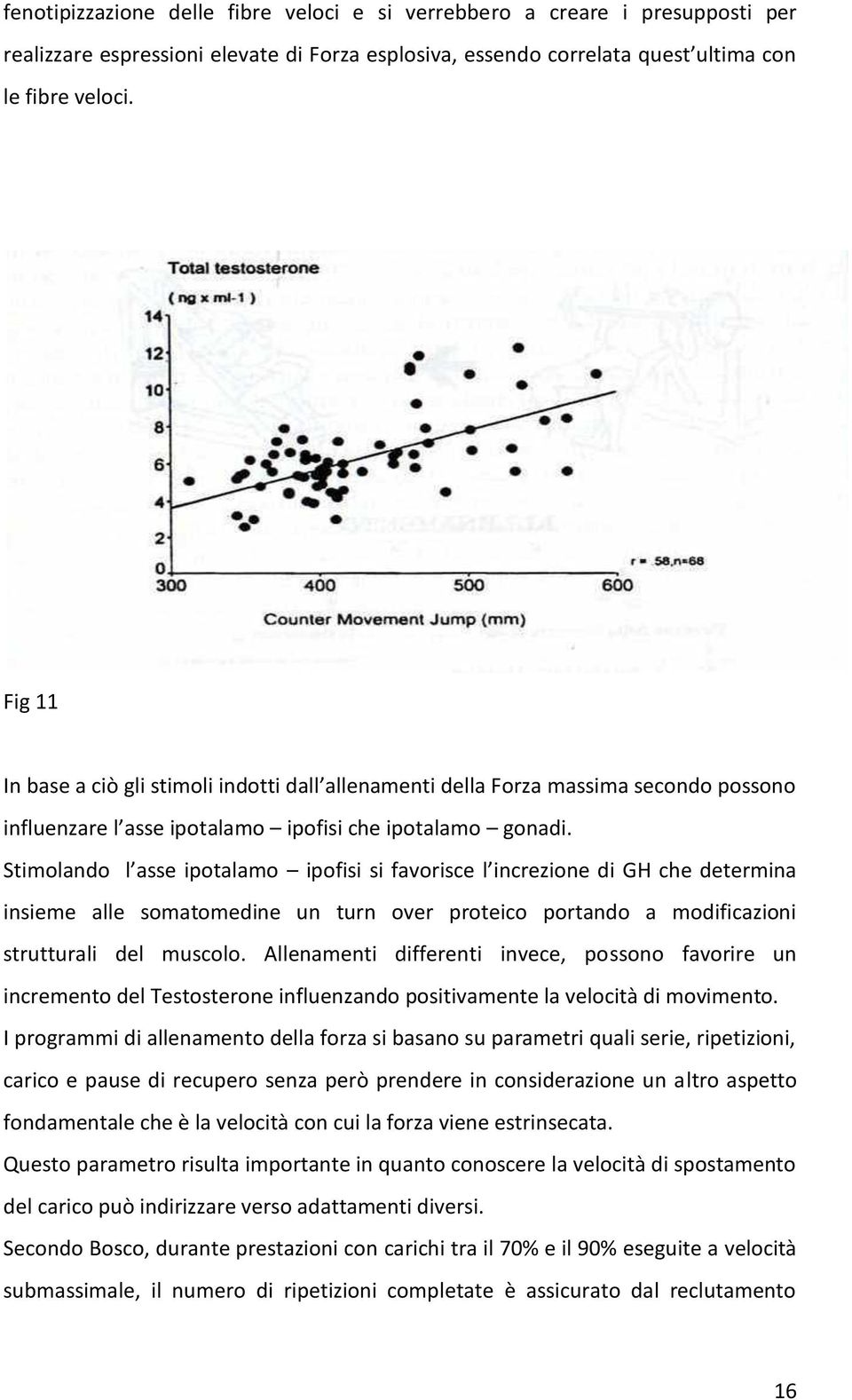 Stimolando l asse ipotalamo ipofisi si favorisce l increzione di GH che determina insieme alle somatomedine un turn over proteico portando a modificazioni strutturali del muscolo.