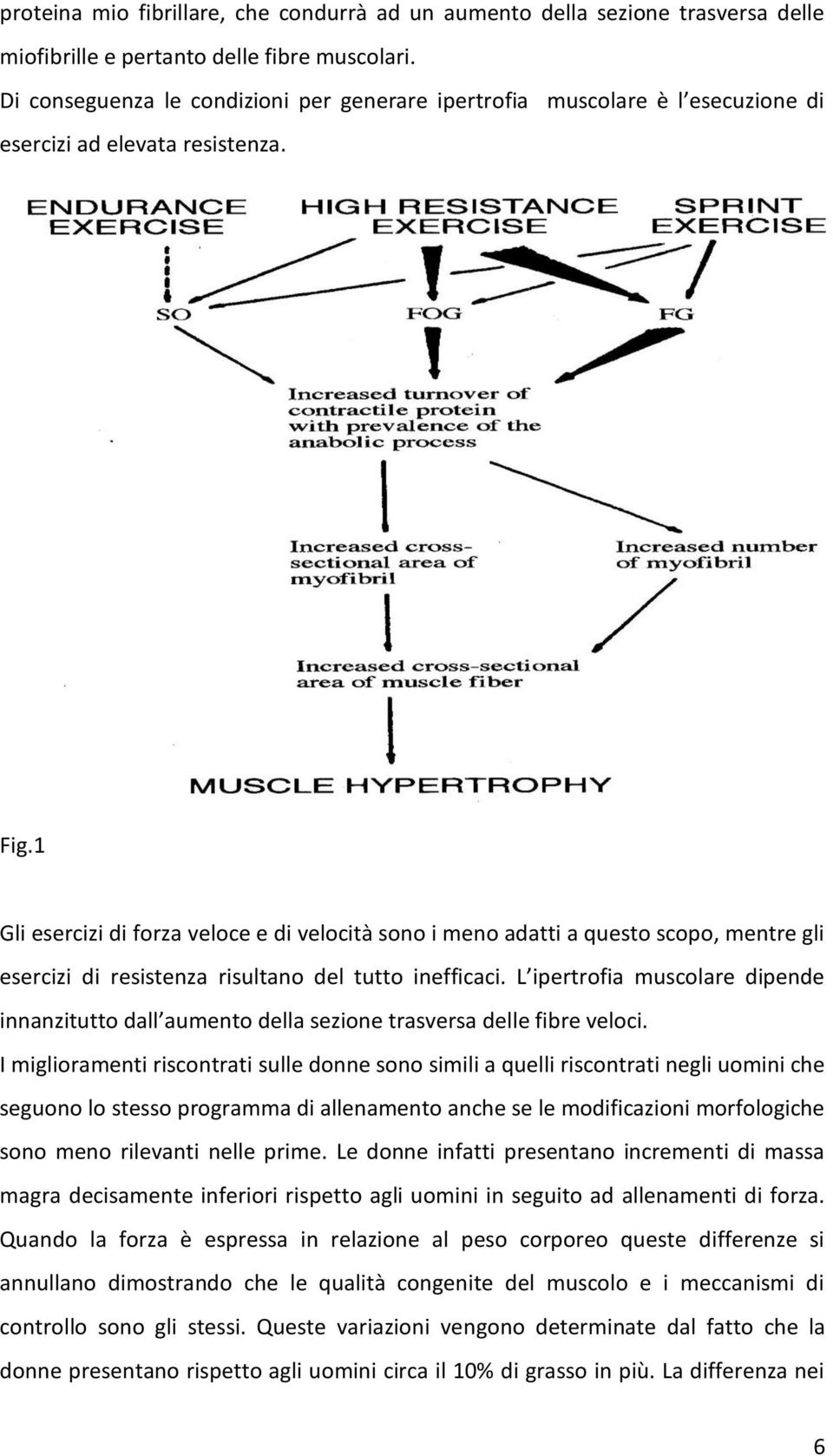 1 Gli esercizi di forza veloce e di velocità sono i meno adatti a questo scopo, mentre gli esercizi di resistenza risultano del tutto inefficaci.