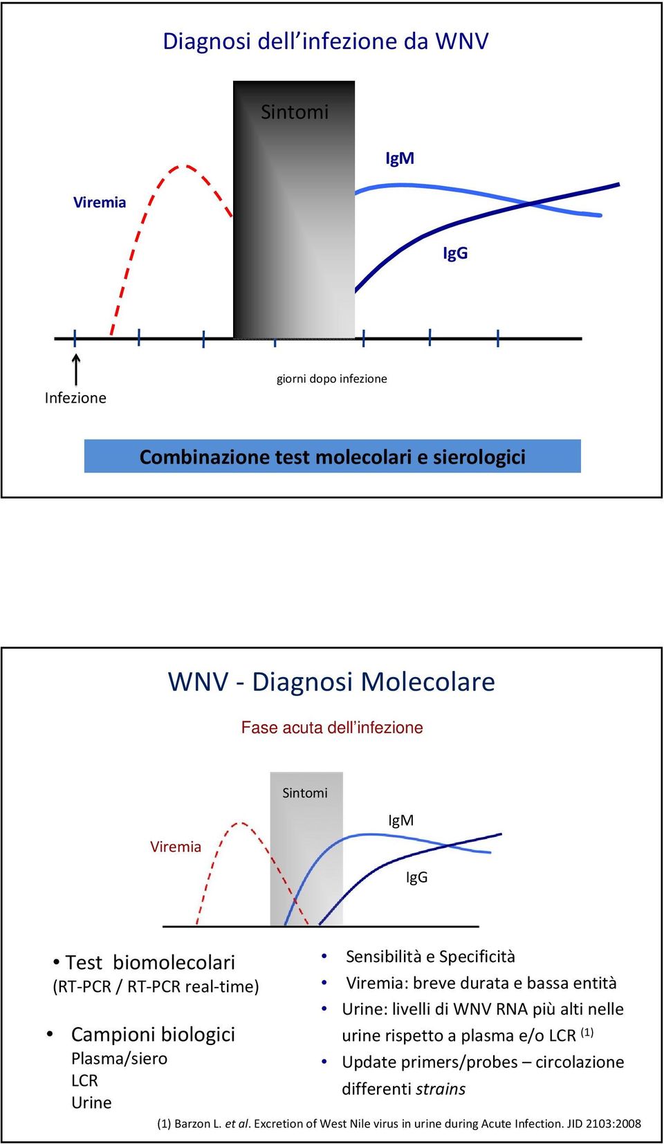 Urine Sensibilità e Specificità Viremia: breve durata e bassa entità Urine: livelli di WNV RNA piùalti nelle urine rispetto a plasma e/o LCR (1)