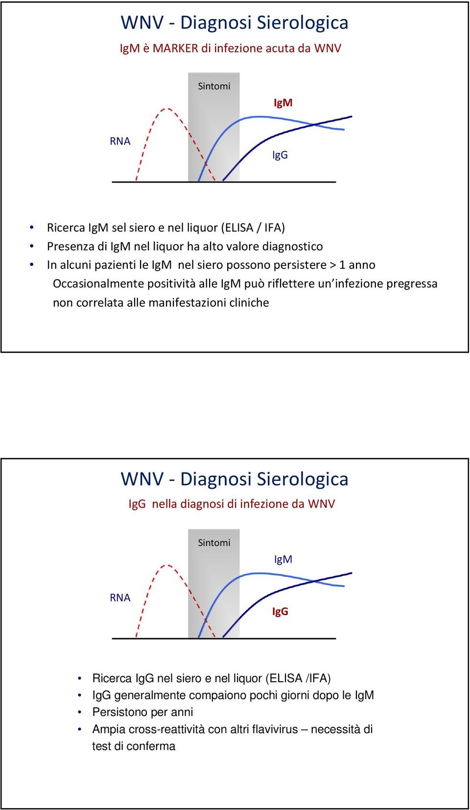pregressa non correlata alle manifestazioni cliniche WNV -Diagnosi Sierologica IgG nella diagnosi di infezione da WNV Sintomi IgM RNA IgG Ricerca IgG nel siero e