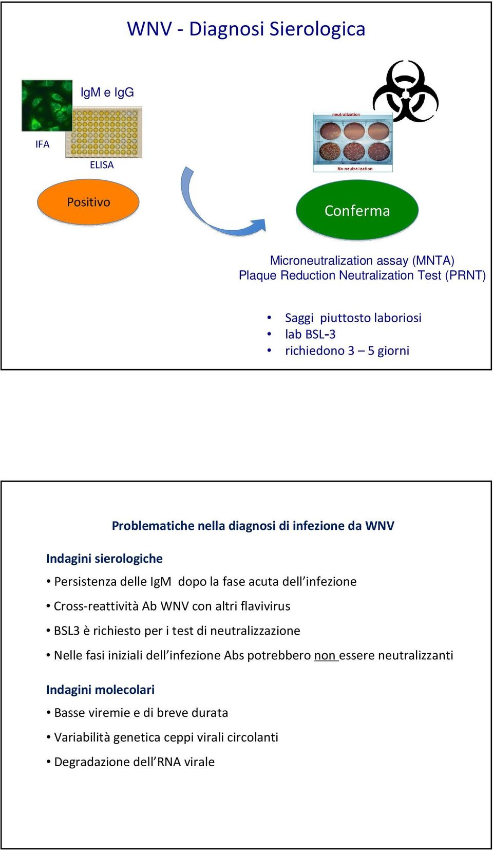 fase acuta dell infezione Cross-reattività Ab WNV con altri flavivirus BSL3 è richiesto per i test di neutralizzazione Nelle fasi iniziali dell infezione