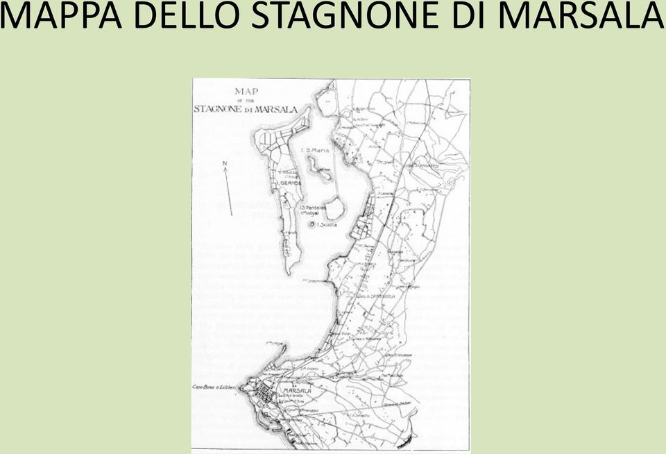 STAGNONE