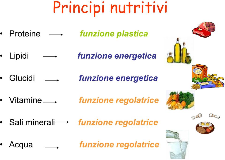 energetica Vitamine funzione regolatrice Sali