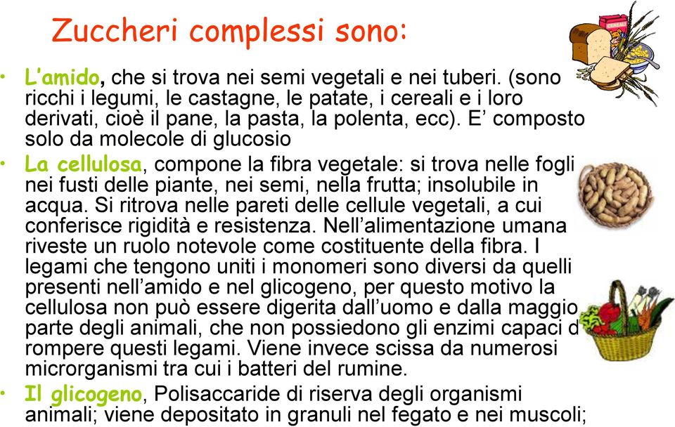 Si ritrova nelle pareti delle cellule vegetali, a cui conferisce rigidità e resistenza. Nell alimentazione umana riveste un ruolo notevole come costituente della fibra.