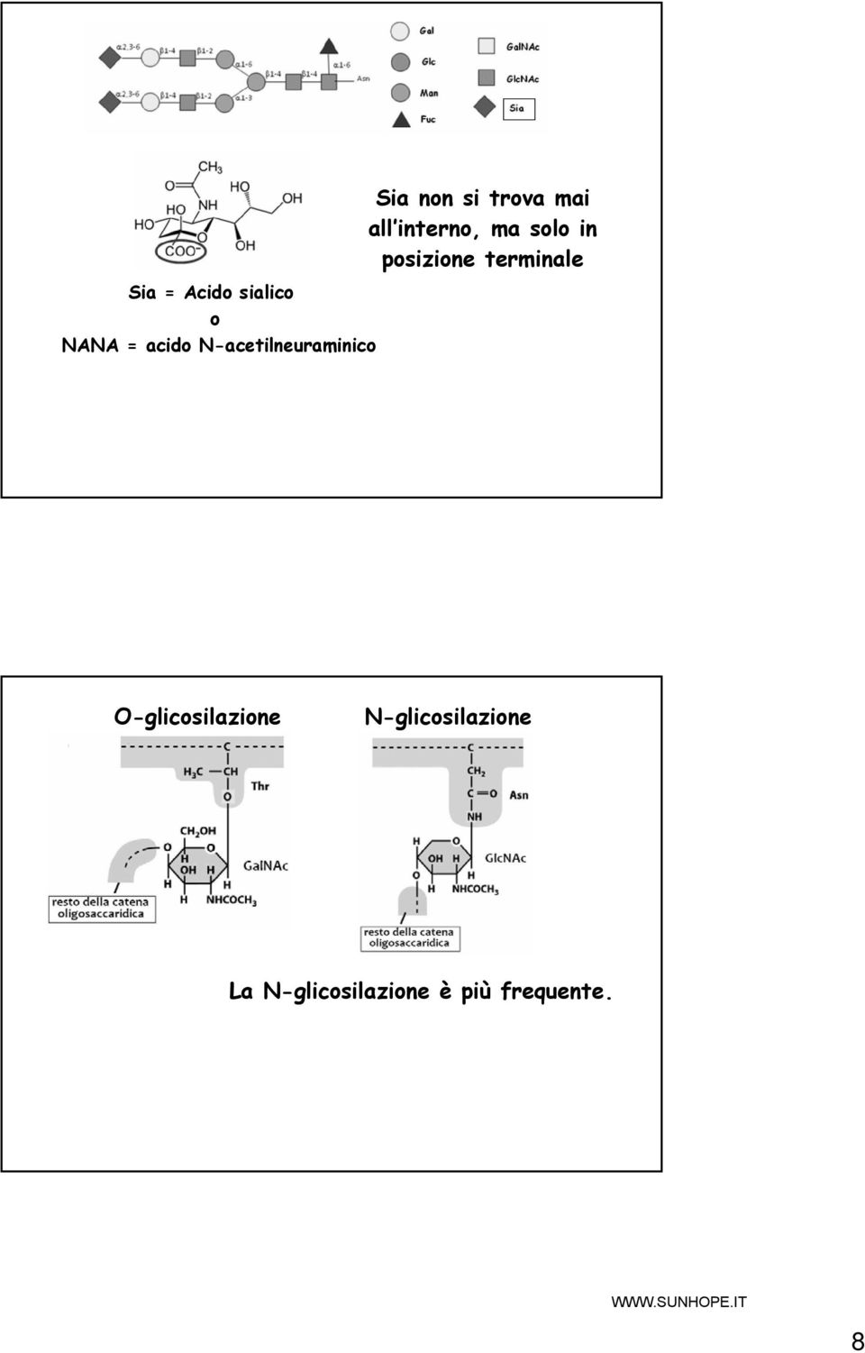 interno, ma solo in posizione terminale