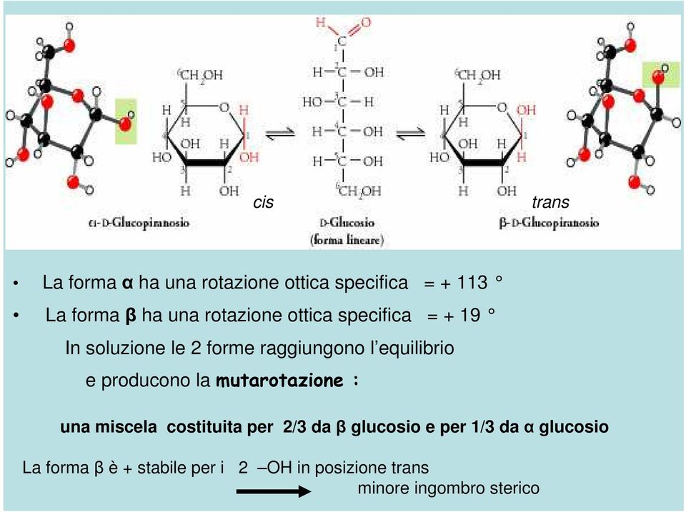 producono la mutarotazione : una miscela costituita per 2/3 da β glucosio e per 1/3