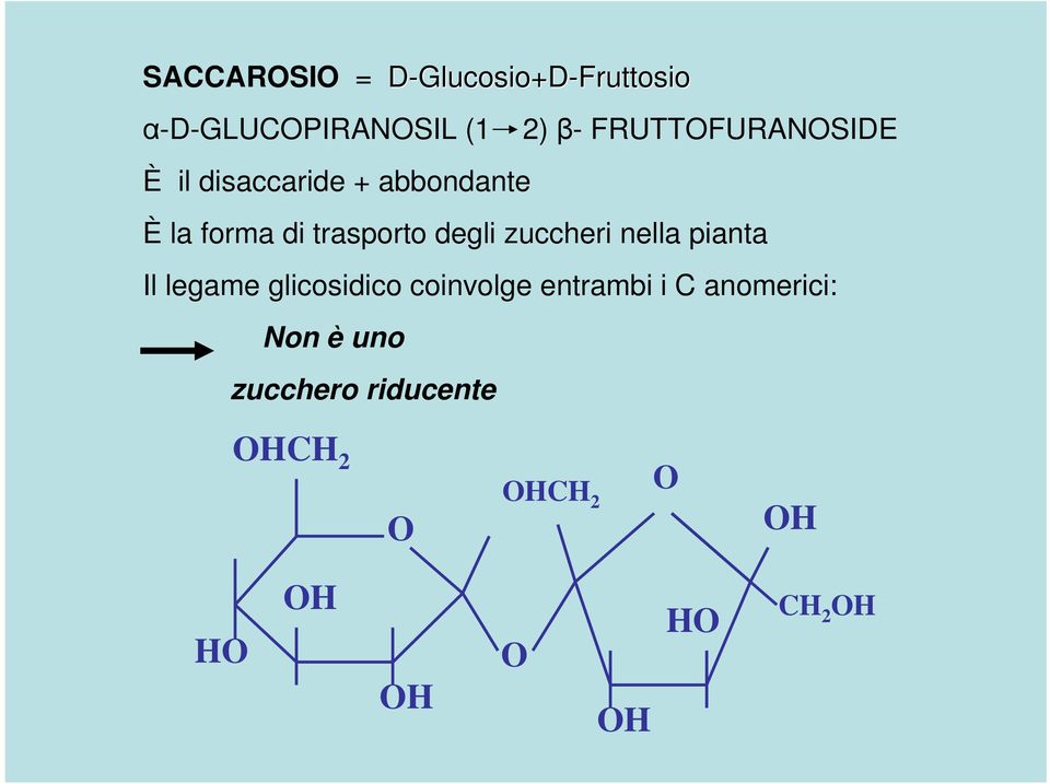 degli zuccheri nella pianta Il legame glicosidico coinvolge entrambi i C