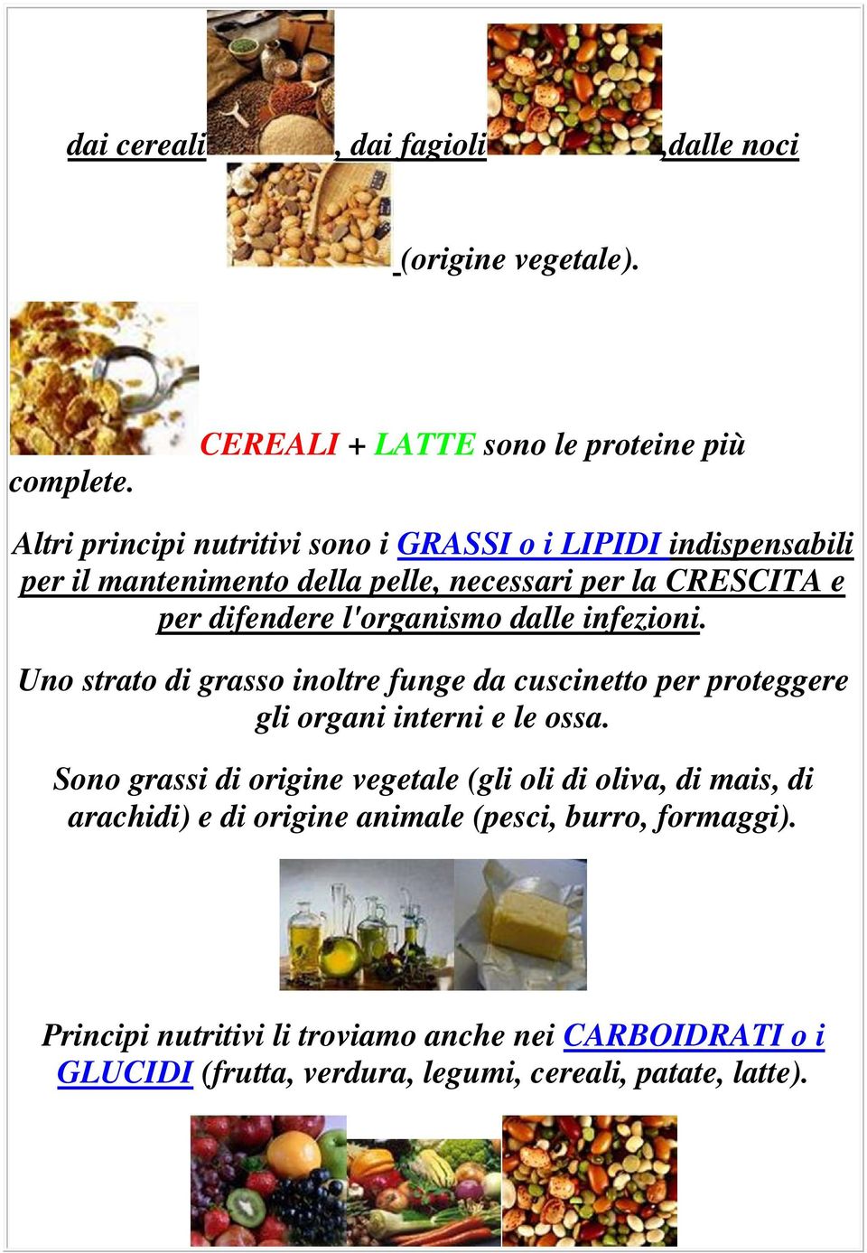 la CRESCITA e per difendere l'organismo dalle infezioni. Uno strato di grasso inoltre funge da cuscinetto per proteggere gli organi interni e le ossa.