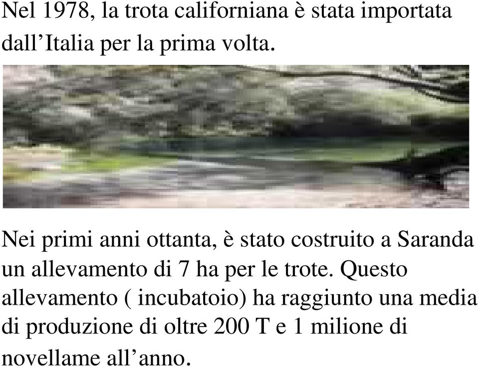 Nei primi anni ottanta, è stato costruito a Saranda un allevamento di 7