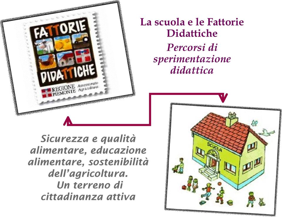 alimentare, educazione alimentare, sostenibilità