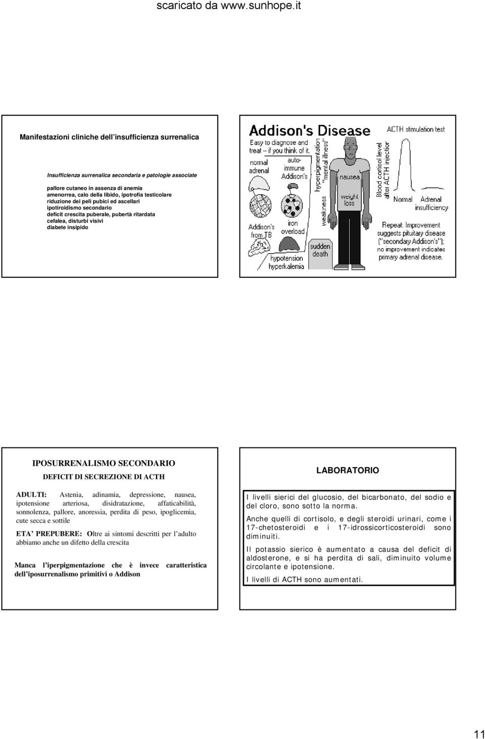 DI SECREZIONE DI ACTH ADULTI: Astenia, adinamia, depressione, nausea, ipotensione arteriosa, disidratazione, affaticabilità, sonnolenza, pallore, anoressia, perdita di peso, ipoglicemia, cute secca e