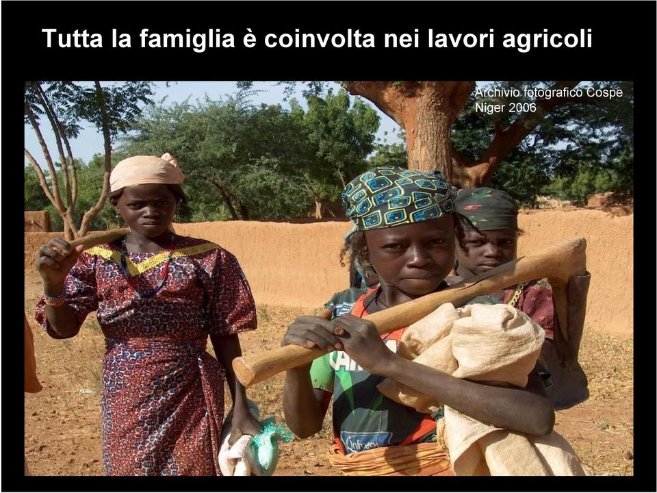 agricoli Archivio