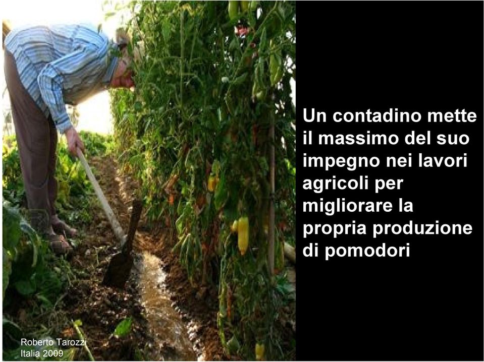 impegno nei lavori agricoli per