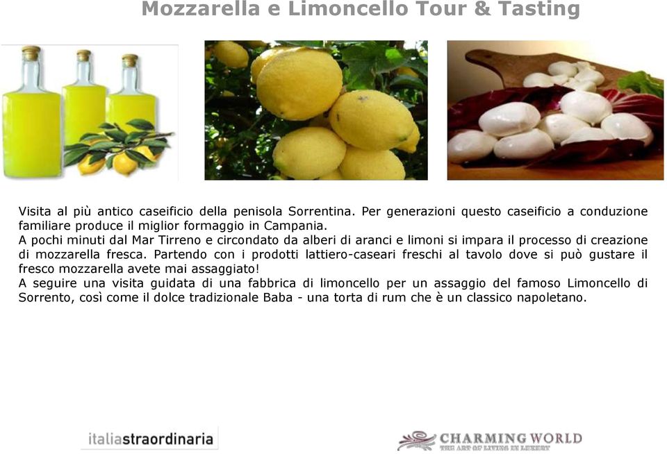 A pochi minuti dal Mar Tirreno e circondato da alberi di aranci e limoni si impara il processo di creazione di mozzarella fresca.