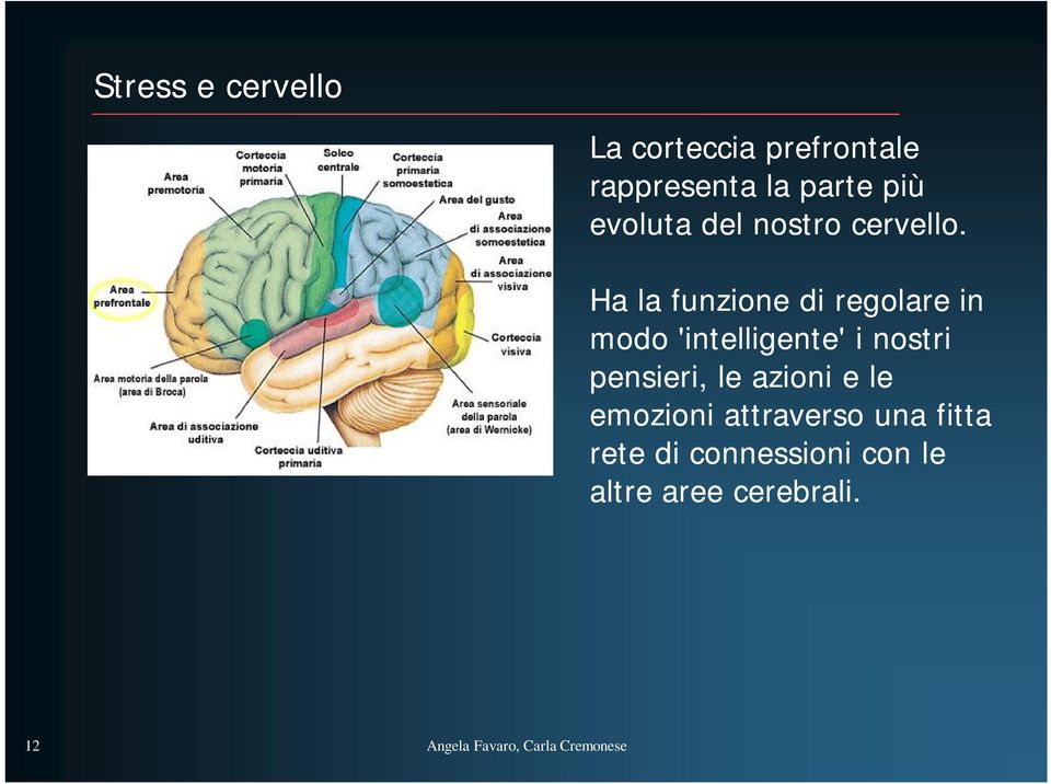 Ha la funzione di regolare in modo 'intelligente' i nostri pensieri, le