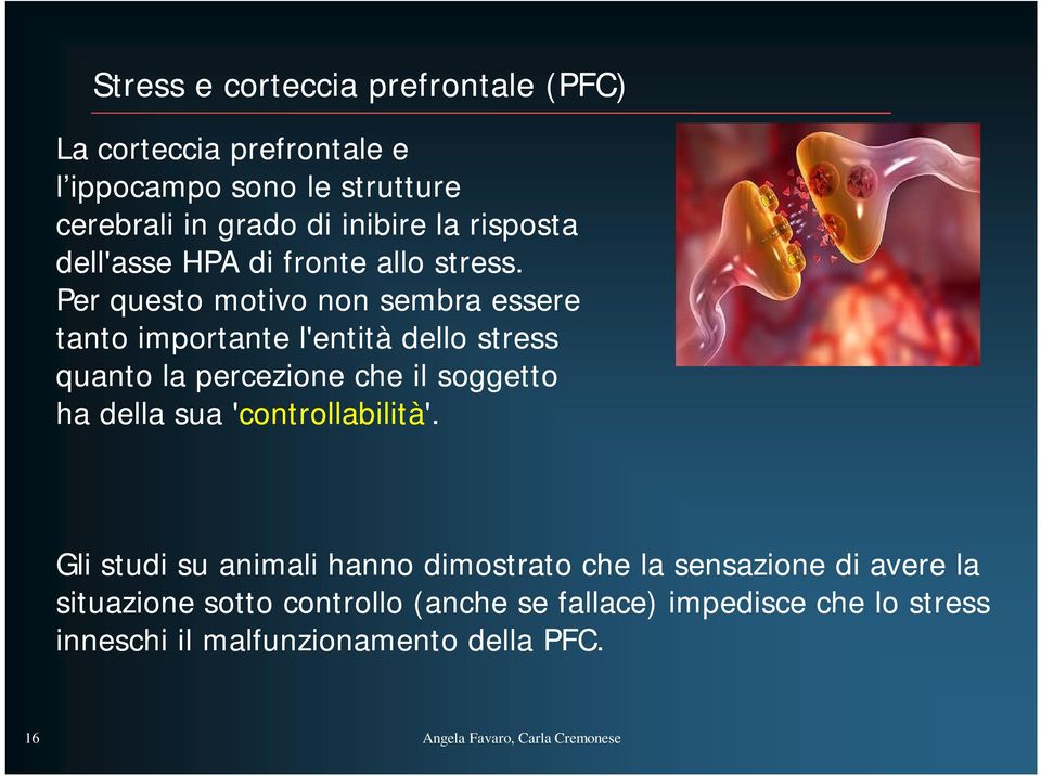 Per questo motivo non sembra essere tanto importante l'entità dello stress quanto la percezione che il soggetto ha della sua