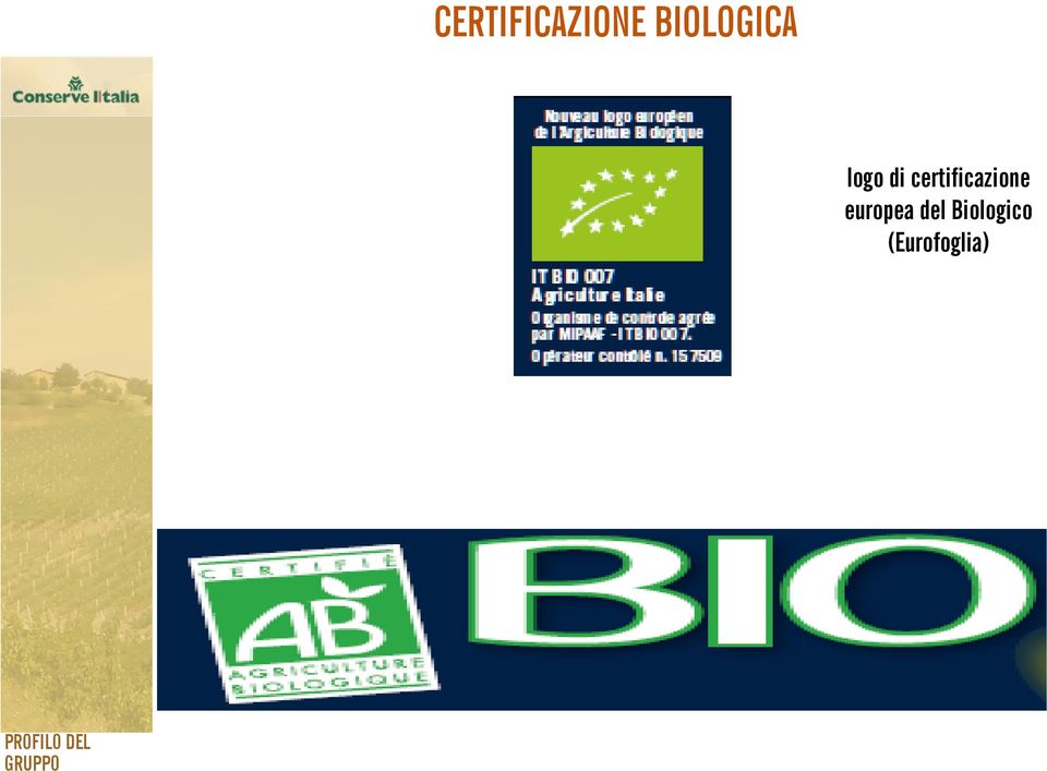 certificazione