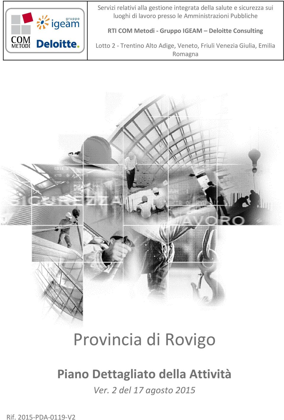 Provincia di Rovigo Piano Dettagliato della