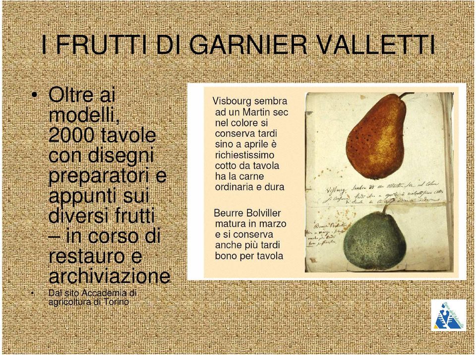 sui diversi frutti in corso di restauro e