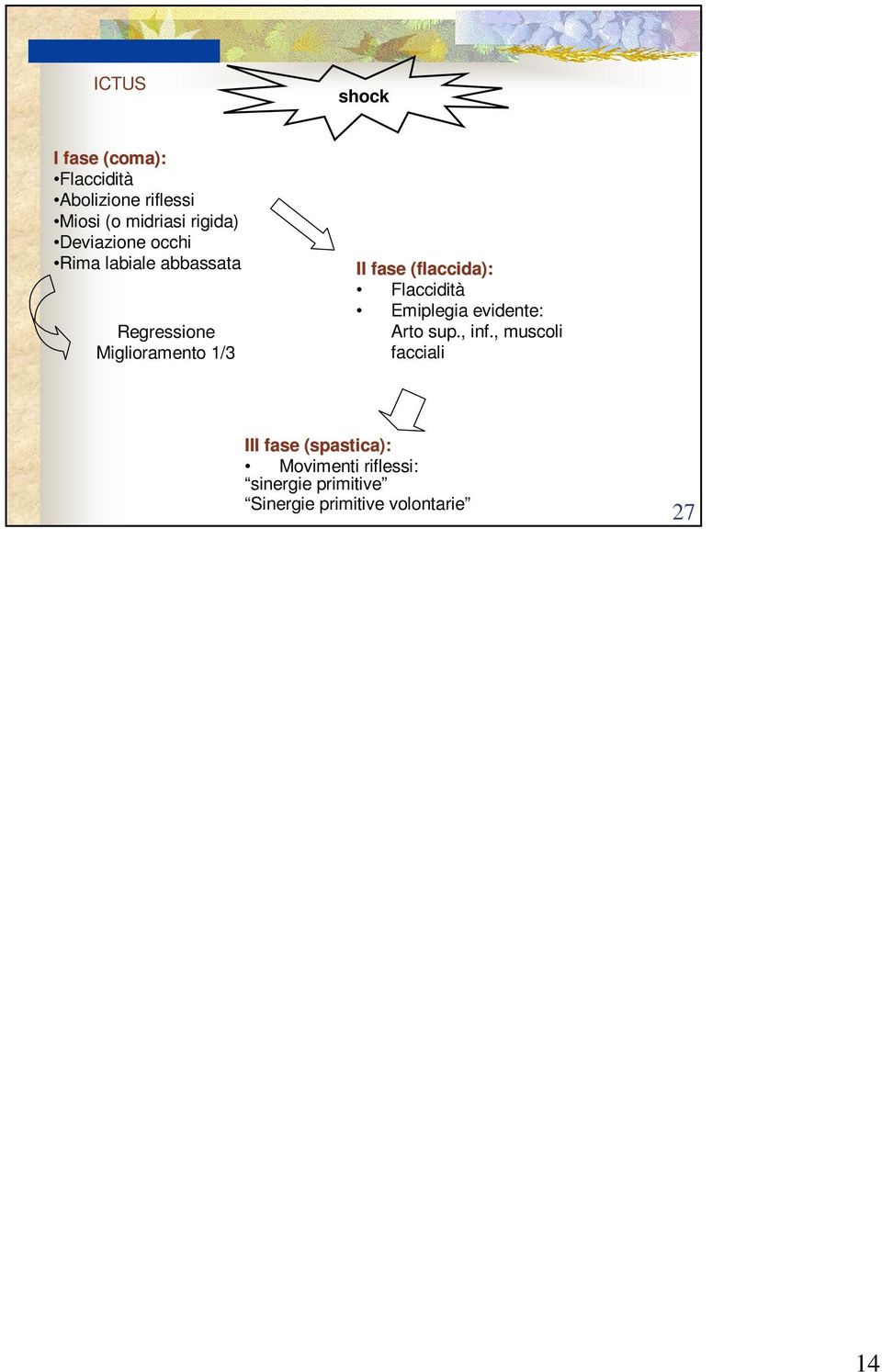 (flaccida): Flaccidità Emiplegia evidente: Arto sup., inf.