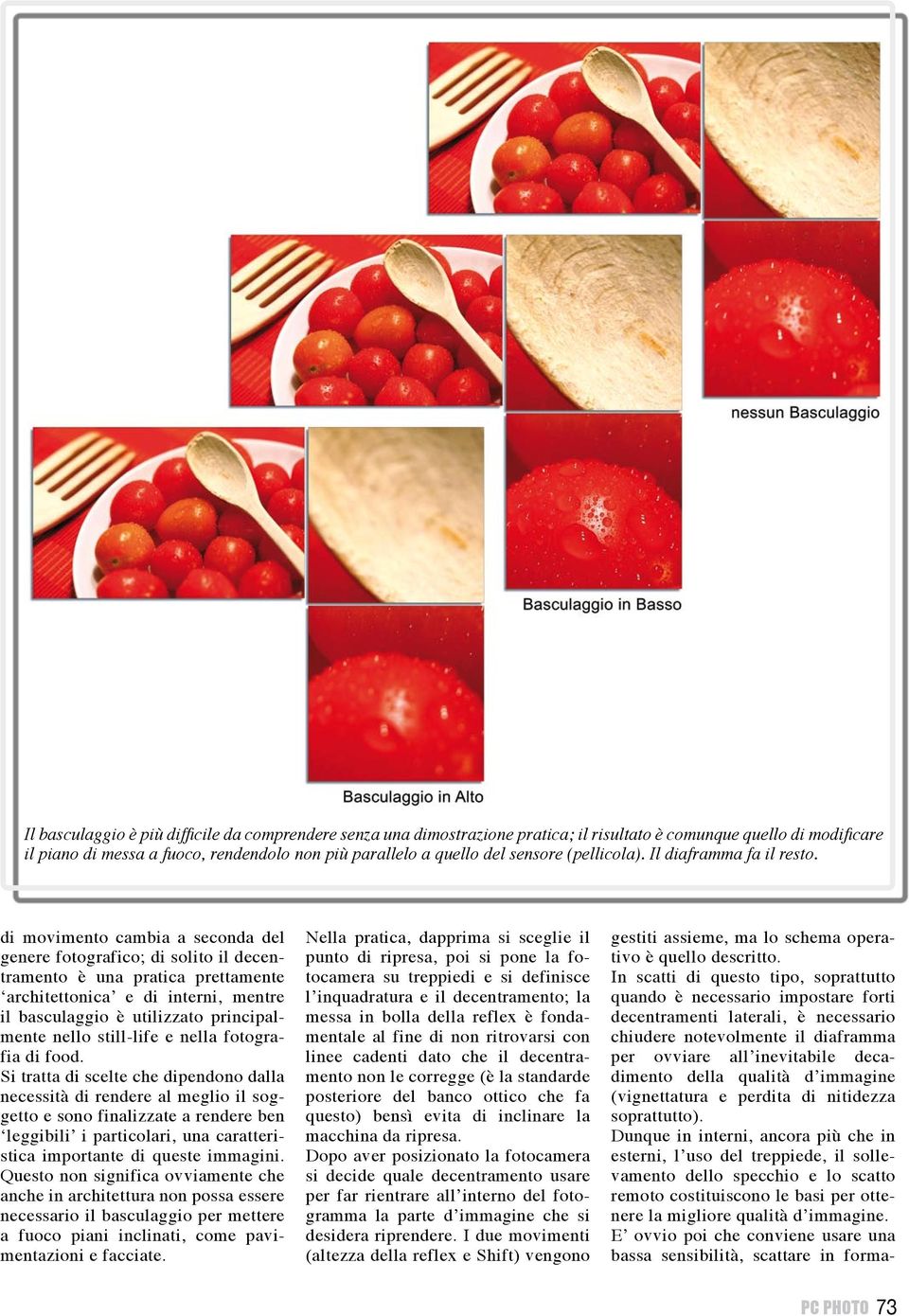 di movimento cambia a seconda del genere fotografico; di solito il decentramento è una pratica prettamente architettonica e di interni, mentre il basculaggio è utilizzato principalmente nello