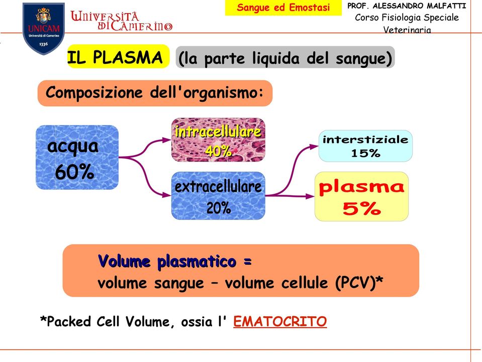 20% interstiziale 15% plasma 5% Volume plasmatico = volume