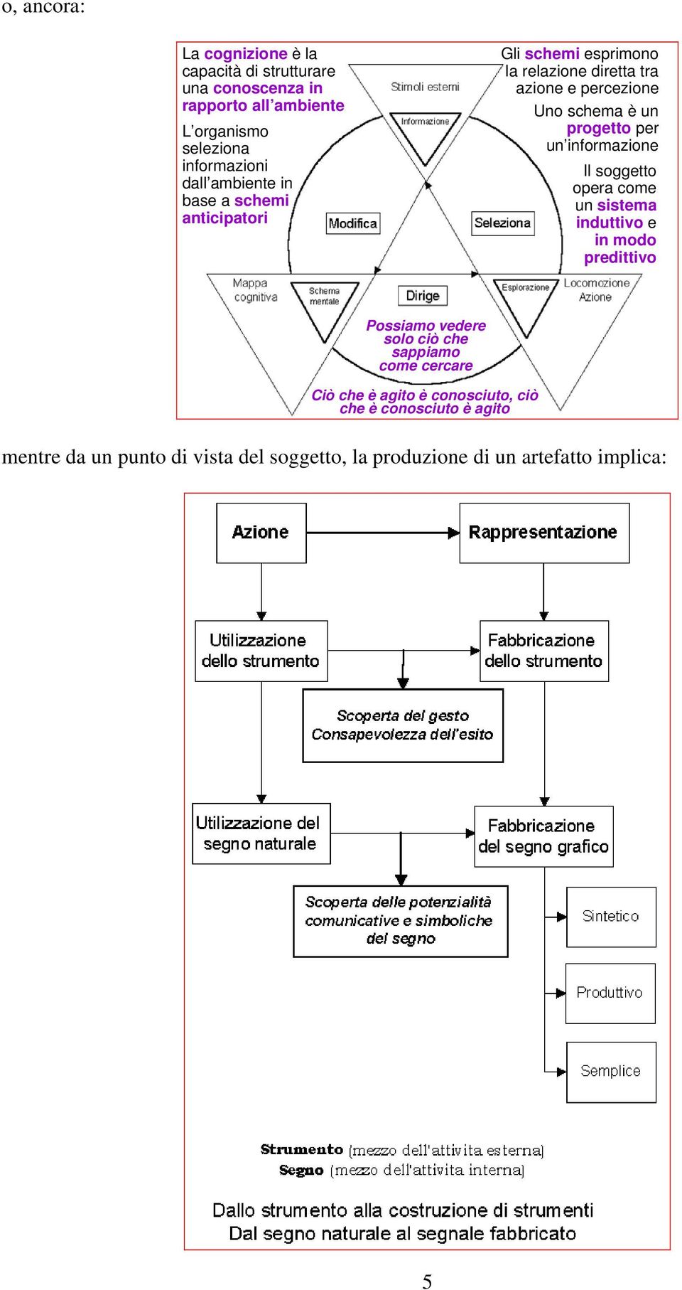 un informazione Il soggetto opera come un sistema induttivo e in modo predittivo Possiamo vedere solo ciò che sappiamo come cercare