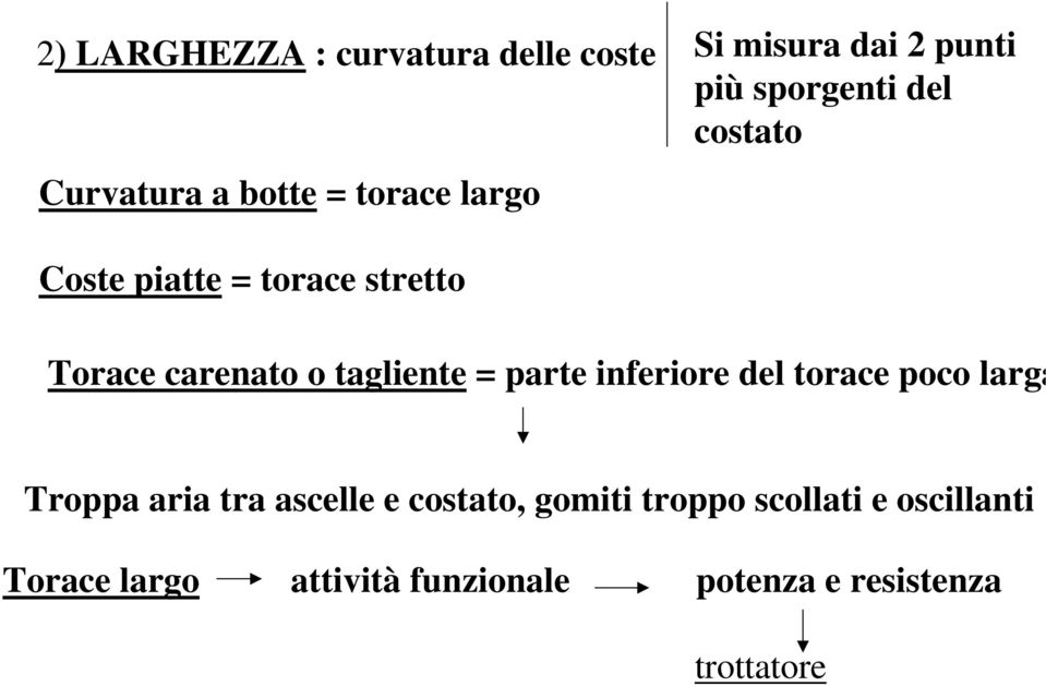 tagliente = parte inferiore del torace poco larga Troppa aria tra ascelle e costato,