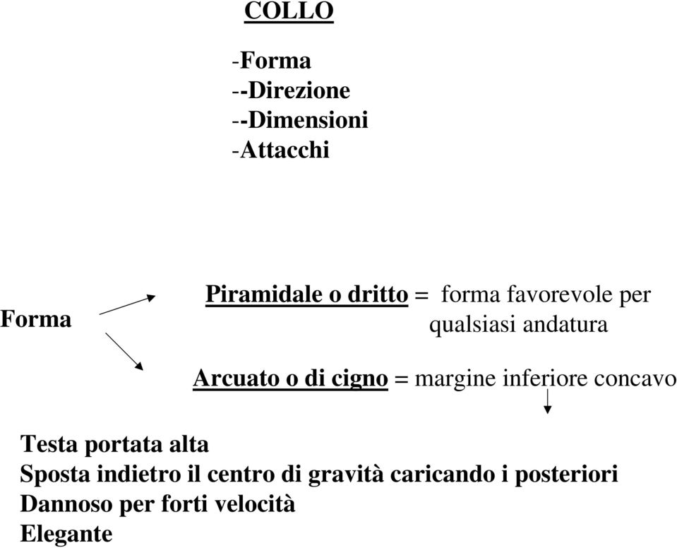 margine inferiore concavo Testa portata alta Sposta indietro il