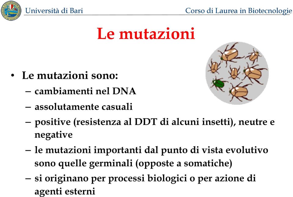 mutazioni importanti dal punto di vista evolutivo sono quelle germinali