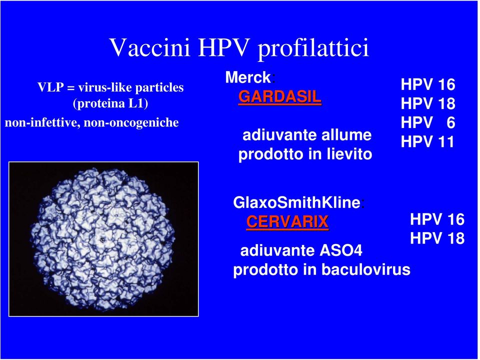 allume prodotto in lievito HPV 16 HPV 18 HPV 6 HPV 11