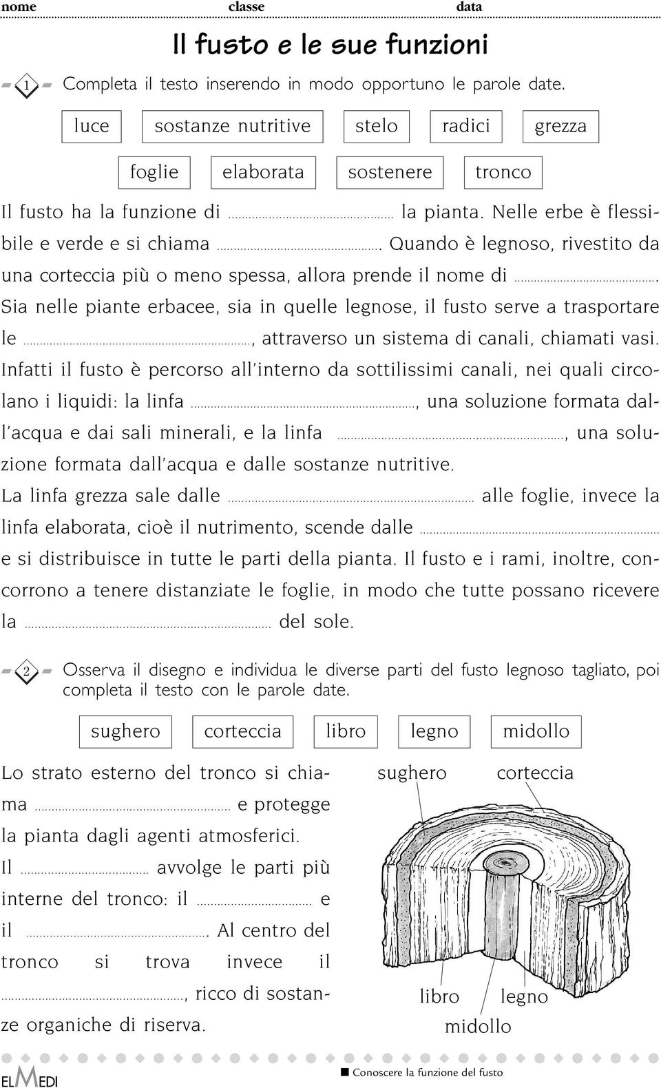 .. Sia nelle piante erbacee, sia in quelle legnose, il fusto serve a trasportare le..., attraverso un sistema di canali, chiamati vasi.