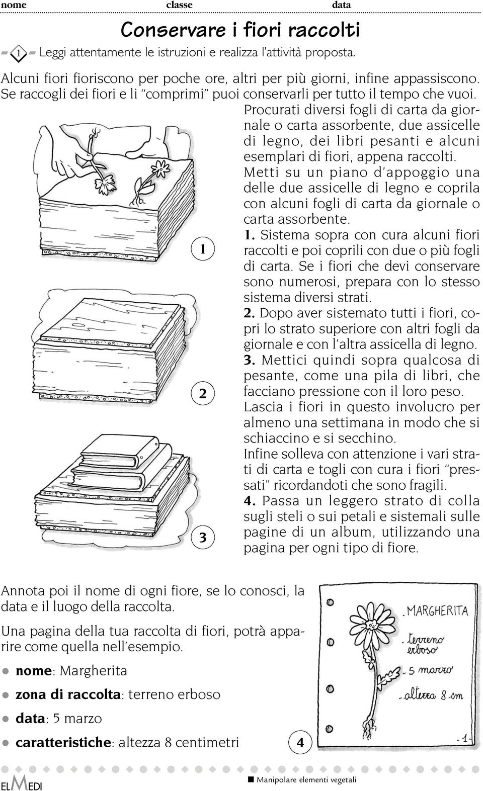 Procurati diversi fogli di carta da giornale o carta assorbente, due assicelle di legno, dei libri pesanti e alcuni esemplari di fiori, appena raccolti.