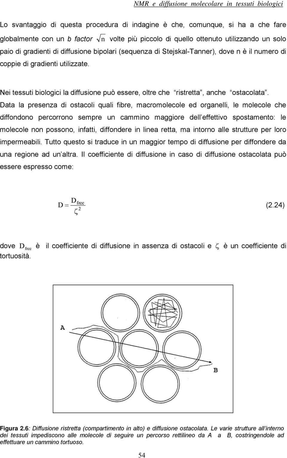 Data la presenza di ostacoli quali fibre, macromolecole ed organelli, le molecole che diffondono percorrono sempre un cammino maggiore dell effettivo spostamento: le molecole non possono, infatti,