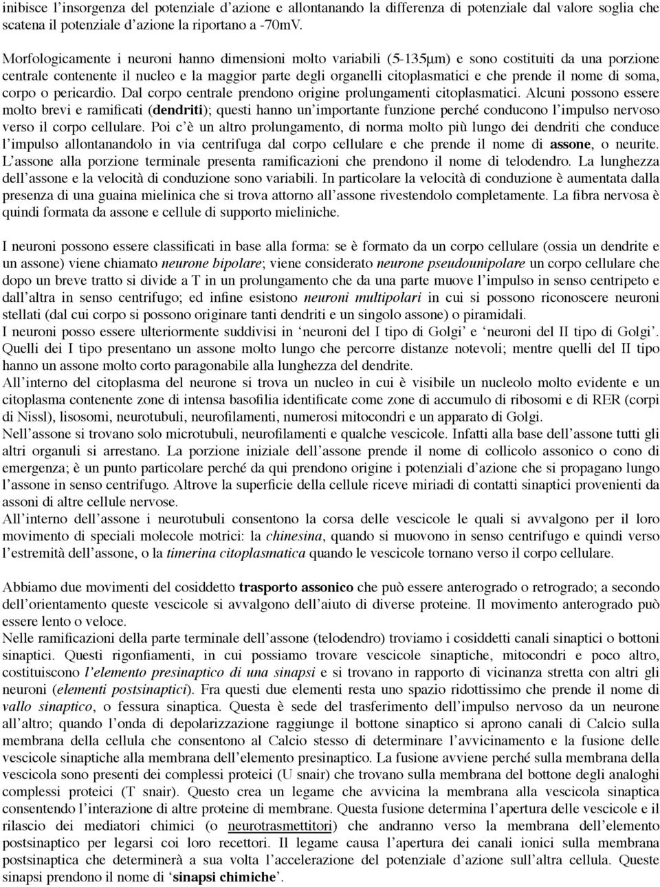 nome di soma, corpo o pericardio. Dal corpo centrale prendono origine prolungamenti citoplasmatici.