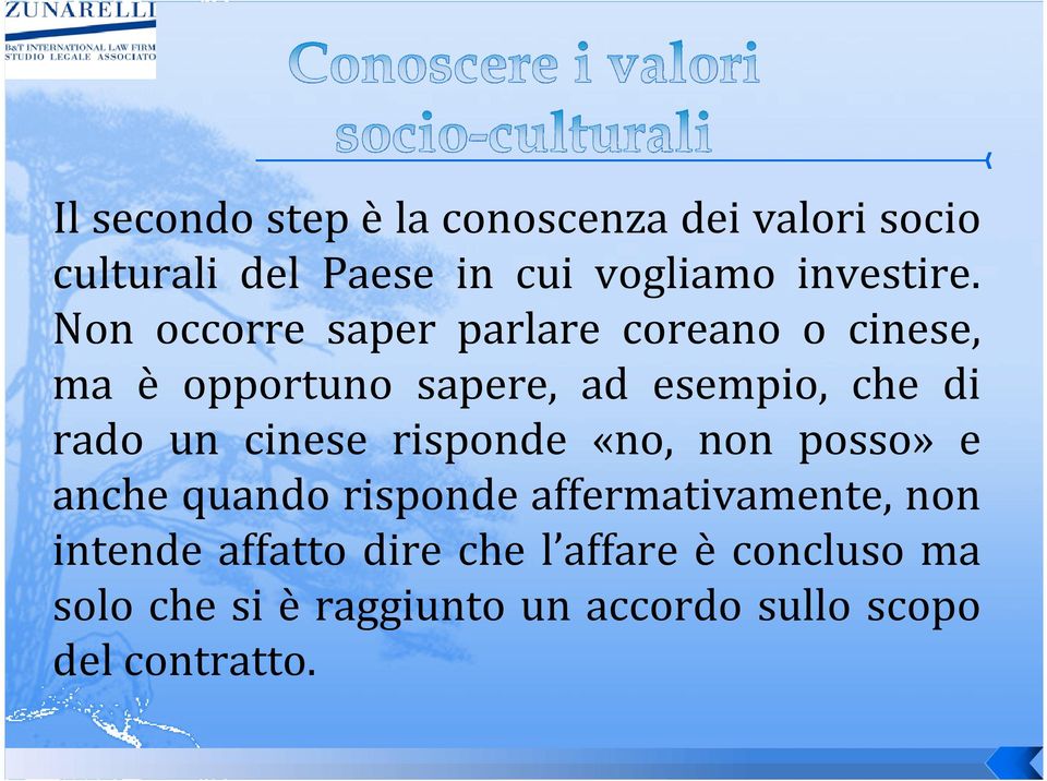 cinese risponde «no, non posso» e anche quando risponde affermativamente, non intende affatto