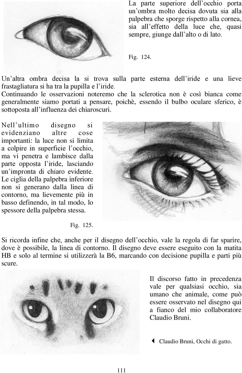 Continuando le osservazioni noteremo che la sclerotica non è così bianca come generalmente siamo portati a pensare, poichè, essendo il bulbo oculare sferico, è sottoposta all influenza dei