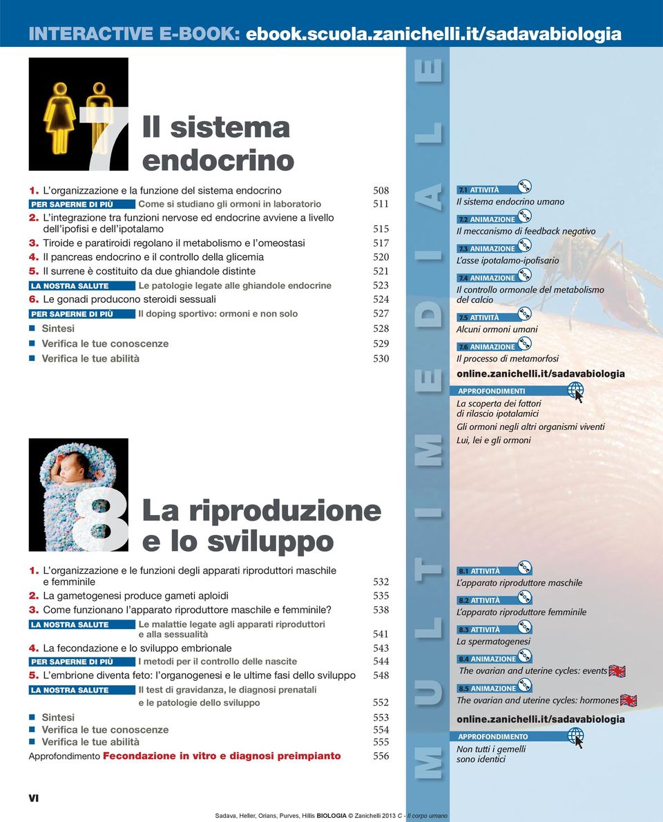 L integrazione tra funzioni nervose ed endocrine avviene a livello dell ipofisi e dell ipotalamo 515 3. Tiroide e paratiroidi regolano il metabolismo e l omeostasi 517 4.